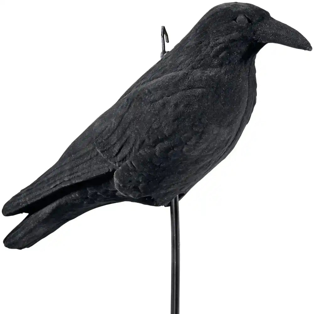 Lockvogel Krähe, beflockt – 38 cm