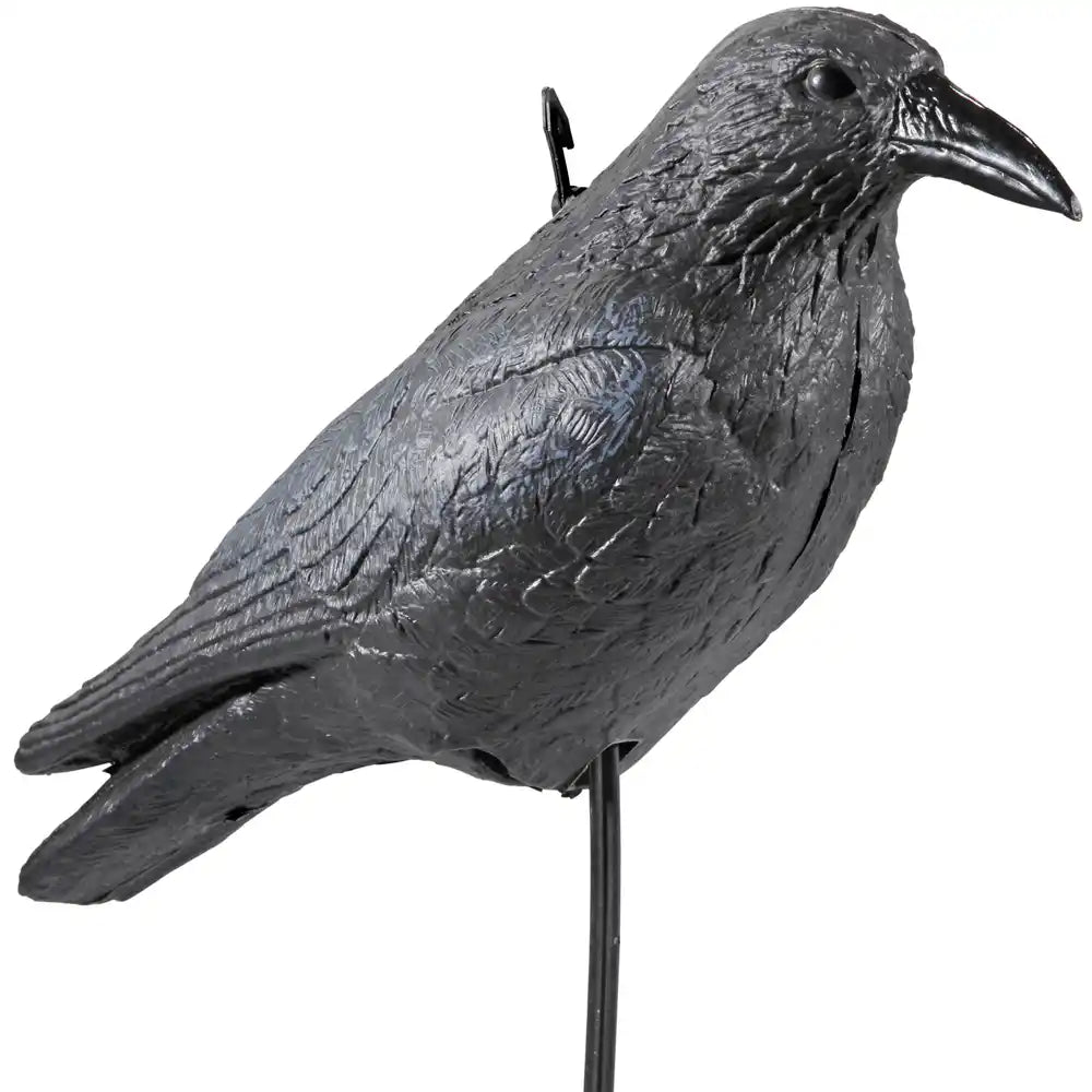 Lockvogel Krähe – 38 cm